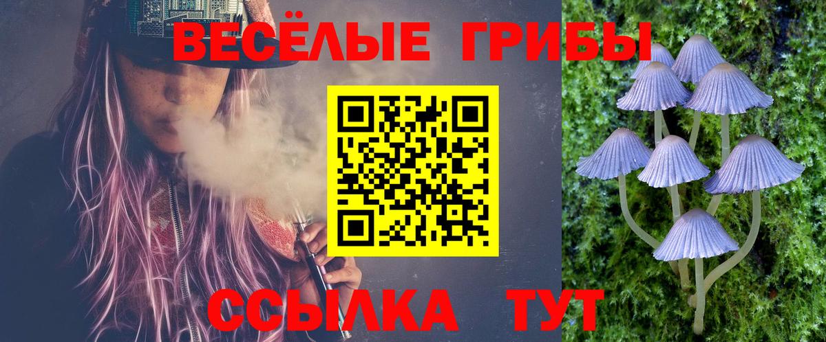Галлюциногенные грибы MAGIC MUSHROOMS Железноводск